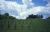 Blick über den Friedhof Noyers-Pont-Maugis Blick über den Friedhof Noyers-Pont-Maugis